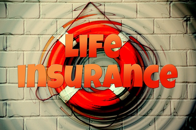 How to Decide Between Term and Whole Life Insurance Policies