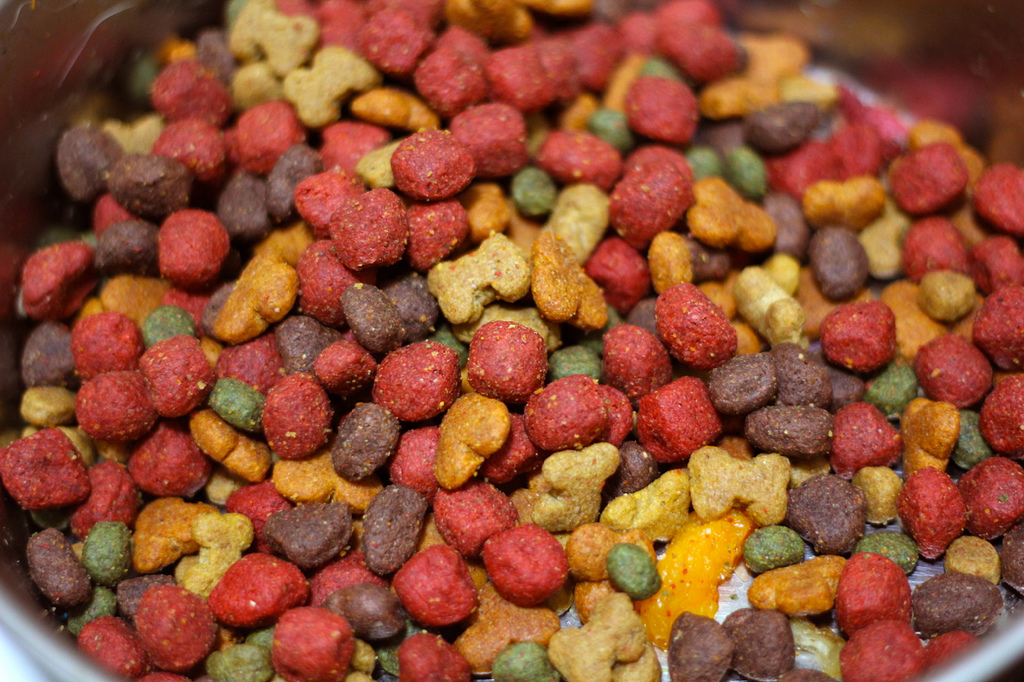  Basic Guidelines To Pick The Best Food For Your Dog