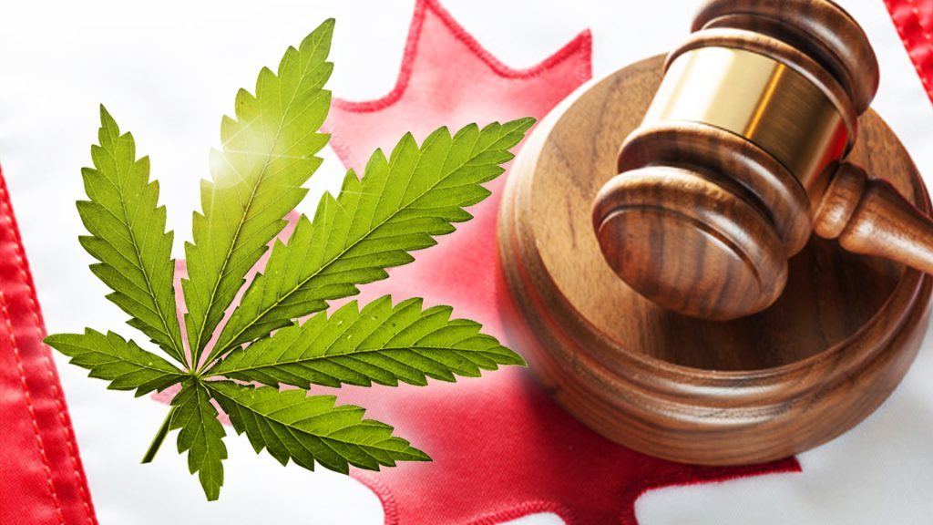 Against Legalization of Marijuana in Canada