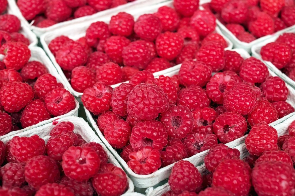 A good raspberry harvest