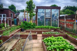 Outdoor Greenhouse