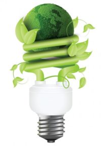 Energy-Efficient-Light-Bulbs-e1337608338192