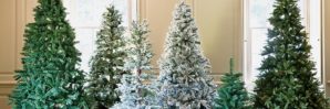 christmas-tree-buying-guide-teaser-image