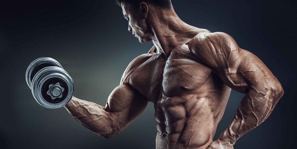 How to Get Big Biceps Fast