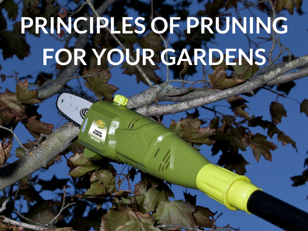 Principles of Pruning